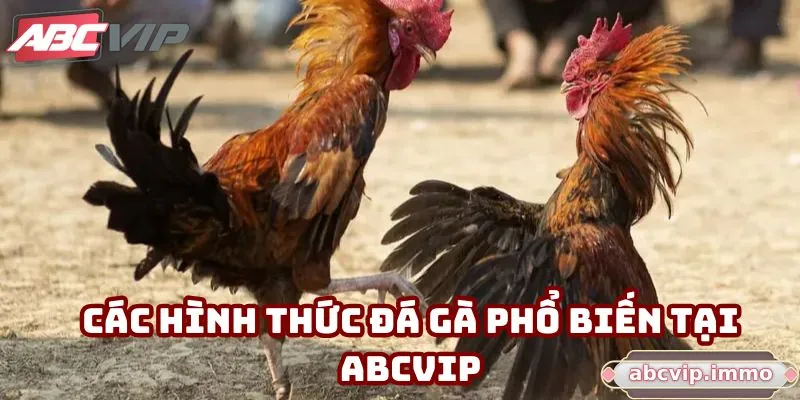 Các hình thức đá gà phổ biến tại ABCVIP