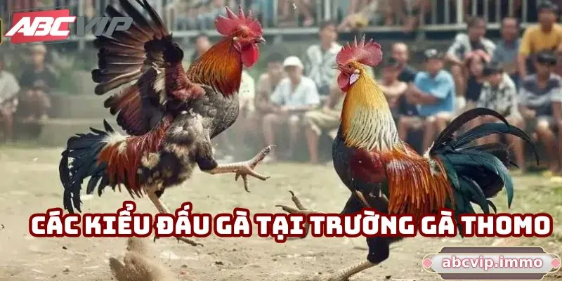Các kiểu đấu gà tại trường gà thomo