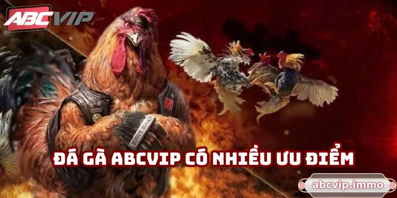 Đá gà ABCVIP có nhiều ưu điểm