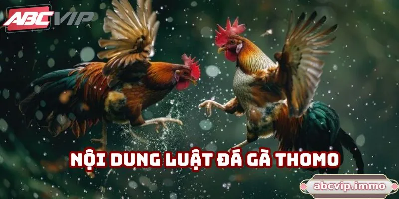 Nội dung luật đá gà thomo
